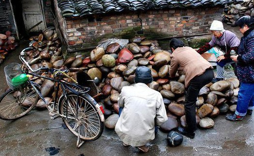 Độc lạ ngôi làng giàu nhờ đá: Dân làng đổ xô đi kiếm 'hàng hiếm' giữa lòng sông, không cần bỏ vốn cũng có tiền mua xe, xây nhà 