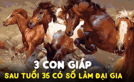 Sau tuổi 35, có 3 con giáp chỉ đợi một bước chuyển nổi bật, có số làm đại gia: Nếu không lưu ý dễ vuột ngay thời cơ vàng