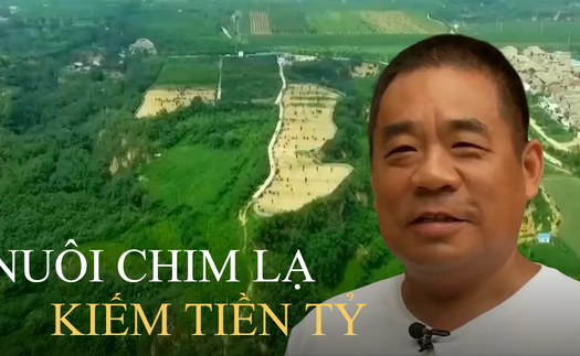 Người đàn ông làm giàu từ ‘chim cao 2m’, giá một con đã 34 triệu: Khi người khác thua lỗ vẫn có sáng kiến 'lội ngược dòng' kiếm 24 tỷ đồng/năm