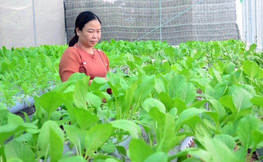 Thành lập Hội đồng thẩm định Quy hoạch hệ thống đô thị và nông thôn thời kỳ 2021-2030, tầm nhìn 2050