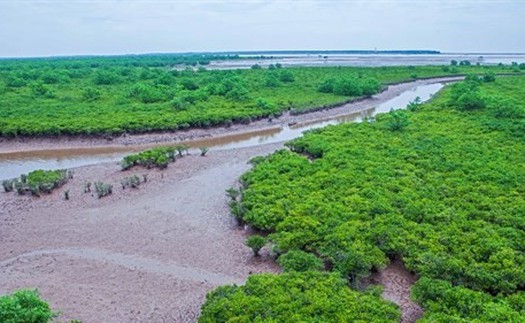 Học sinh Hà Nội tử vong khi tham gia trải nghiệm bắt ngao tại Nam Định