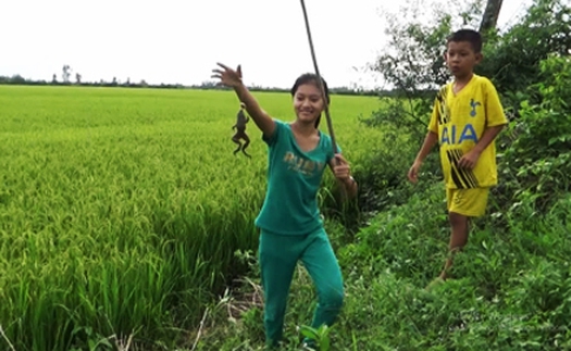 Sống chậm cuối tuần: Món chả nhái và thơ