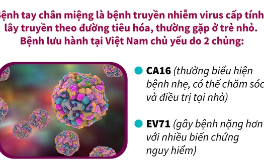 7 tháng năm 2023: Gần 15.000 ca mắc tay chân miệng, Bộ Y tế cảnh báo dịch gia tăng