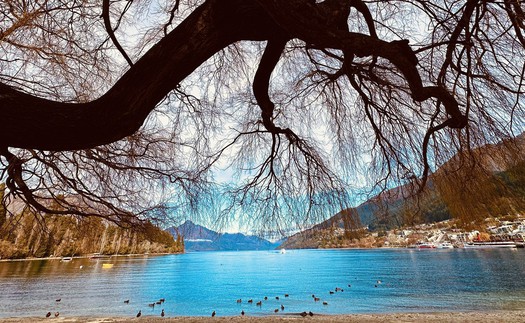 Có một cuộc sống ngọt ngào ở Queenstown