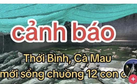 Xử lý chủ tài khoản Facebook đăng thông tin cá sấu sổng chuồng khiến người dân lo ngại