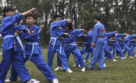 Câu chuyện 'con thuyền' và sự phát triển chung của Vovinam Việt Nam