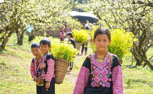 Vẻ đẹp bình yên và thơ mộng của cao nguyên Mộc Châu