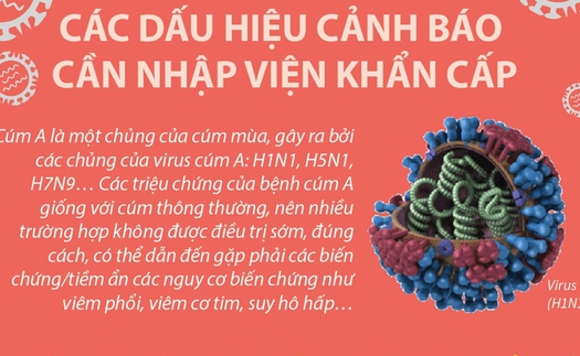 Cúm A: Các dấu hiệu cảnh báo cần nhập viện khẩn cấp