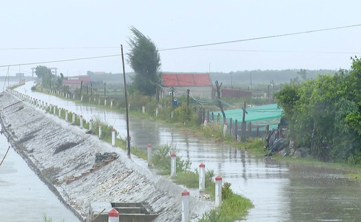 Thời tiết từ nay đến hết năm 2024: Đề phòng bão, áp thấp nhiệt đới, rét đậm, rét hại