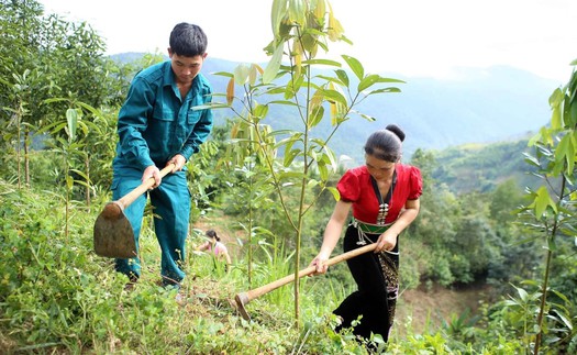 Kinh tế thích ứng với biến đổi khí hậu - Bài 2: Lá chắn bảo vệ trước thiên tai