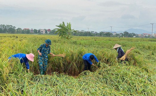 Kinh tế thích ứng với biến đổi khí hậu - Bài 1: Bài học từ siêu bão Yagi