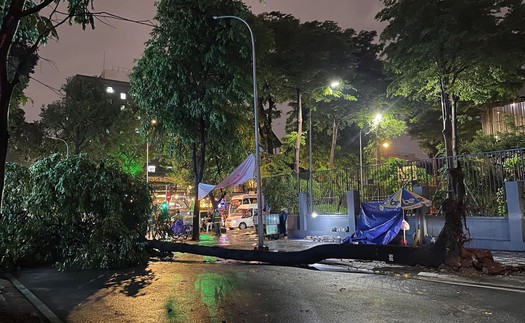 Thành phố Hồ Chí Minh: Cây xanh ngã đổ trong mưa đè trúng 4 người