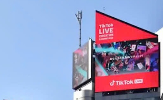 Khởi động TikTok LIVE Fest 2024 vinh danh các nhà sáng tạo nội dung số