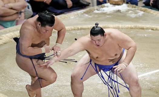 Sự hồi sinh mạnh mẽ của Sumo tại Nhật Bản