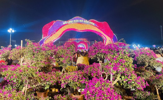 Hà Nội: Rực rỡ Festival hoa Mê Linh 2024