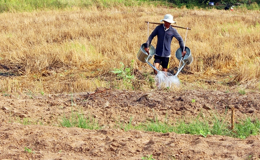 Góc nhìn 365: Quay quắt cùng hạn mặn miền Tây