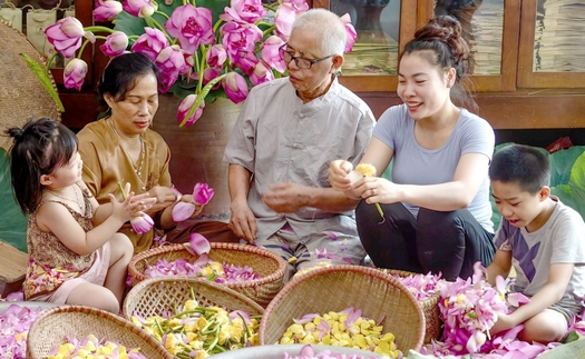 Nâng tầm giá trị sen Hà Nội (kỳ 2): Tinh tế và mong manh như trà sen Tây Hồ