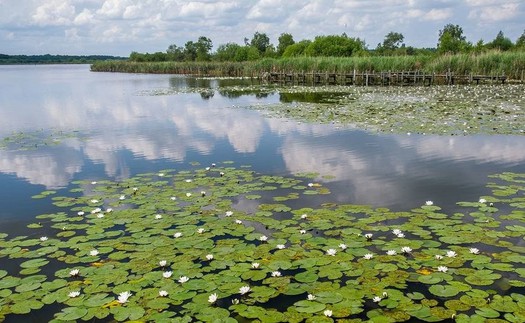 UNESCO công nhận Khu dự trữ sinh quyển đầu tiên tại Bỉ