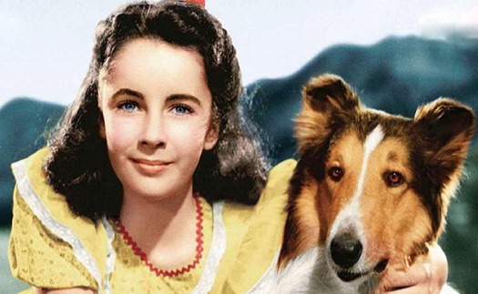 Phim tài liệu về Elizabeth Taylor: Thế giới không còn những ngôi sao như thế!