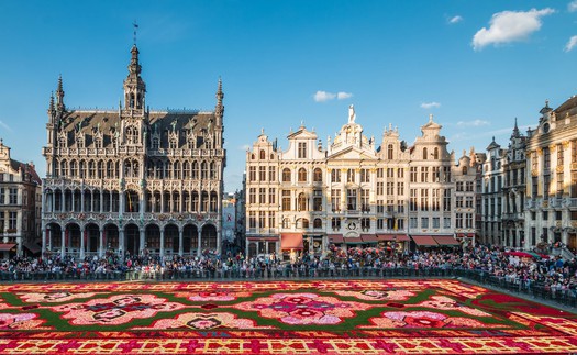 Thảm Hoa Brussels 2024 - kiệt tác sống động giữa lòng châu Âu