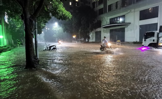 Hà Nội: Khẩn trương tiêu thoát nước, dọn dẹp cây xanh gãy đổ sau mưa lớn kéo dài