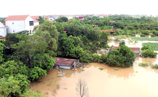 Nhìn lại những cơn bão mạnh đổ bộ vào Việt Nam những năm gần đây