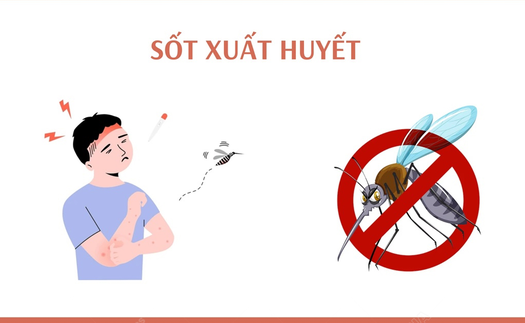 Phòng chống bệnh do muỗi truyền