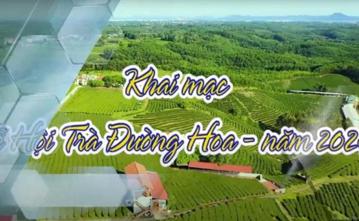 Lần đầu tiên Quảng Ninh có lễ hội Trà Đường Hoa