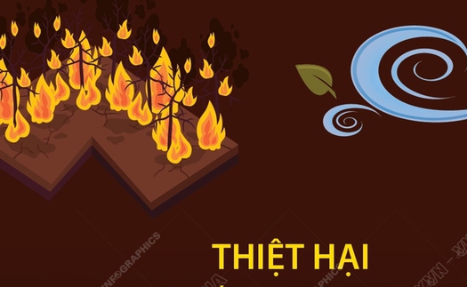 Ít nhất 24 người thiệt mạng do cháy rừng tại Mỹ
