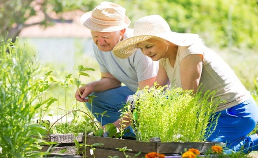 Khoảng cách giữa thời gian sống khỏe và tuổi thọ ngày càng nới rộng