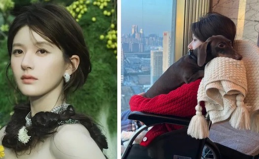 Triệu Lộ Tư tiết lộ nhiều chi tiết gây sốc về bạo hành trong cập nhật mới nhất