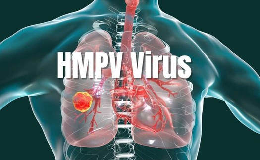 Ấn Độ phát hiện trường hợp đầu tiên nhiễm virus HMPV