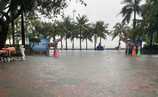 Dự báo thời tiết ngày và đêm 17/10: Từ Thanh Hóa đến Huế có mưa to và dông, cục bộ có nơi mưa rất to