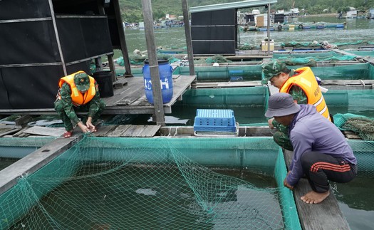 Đà Nẵng: Chủ tịch UBND xã, phường chủ động quyết định cho học sinh nghỉ học để ứng phó với bão số 12