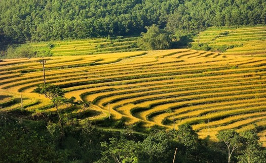 Đưa ruộng bậc thang Miền Đồi trở thành điểm đến hấp dẫn trên bản đồ du lịch Việt Nam