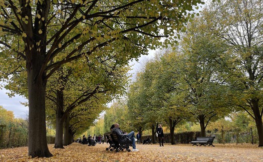 Quyến rũ sắc Thu London