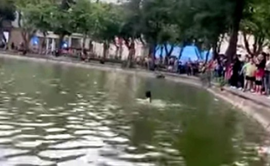 Làm rõ thông tin người phụ nữ bị đuối nước tại hồ Hoàn Kiếm