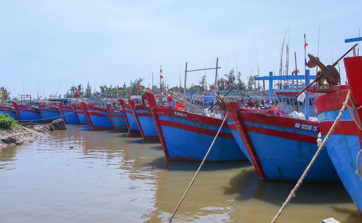 Bão số 11: Ninh Bình tổ chức neo đậu tàu thuyền xong trước 17 giờ ngày 5/10