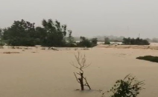 Lũ lớn trên sông Cầu, sông Thương, các địa phương khẩn cấp ứng phó