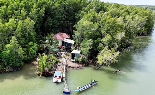 Thành phố Hồ Chí Minh thúc đẩy quản lý bền vững rừng Cần Giờ