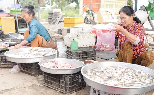 Phiên chợ độc đáo ở vùng sông nước miền Tây