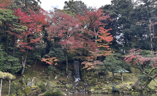 Kenrokuen - Một trong những khu vườn đẹp nhất Nhật Bản vào mùa Thu