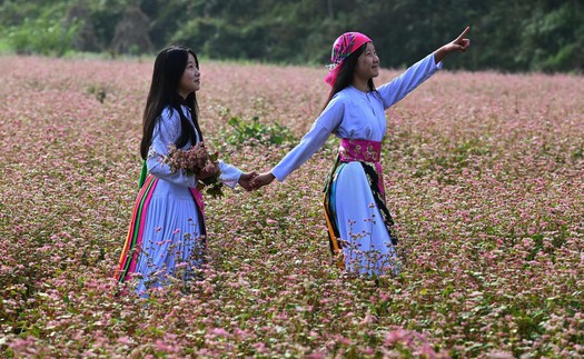 Mùa hoa đánh thức bước chân về miền cực Bắc Tổ quốc
