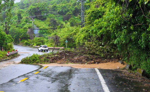 Đà Nẵng: Tiếp tục tạm dừng tham quan bán đảo Sơn Trà để đảm bảo an toàn