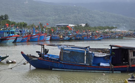 Đà Nẵng: Tàu thuyền khẩn trương vào tránh trú trước bão số 13