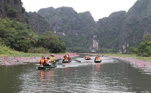 Mùa hoa súng nơi miền di sản