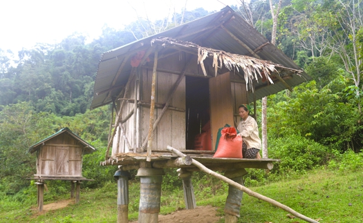 Độc đáo tri thức dân gian “lẩu khầu” giữa đại ngàn