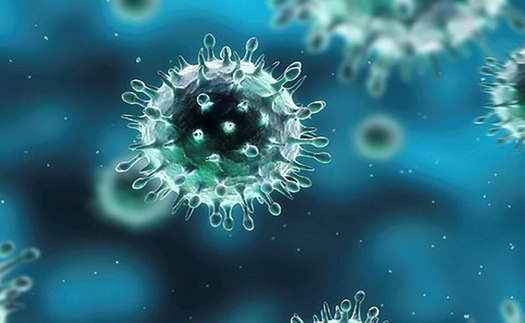 WHO: Virus cúm A chiếm ưu thế trong mùa cúm toàn cầu