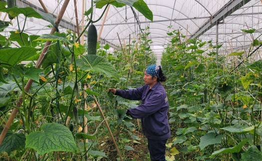 Chuyển đổi số giúp nông nghiệp Hà Nội bứt phá