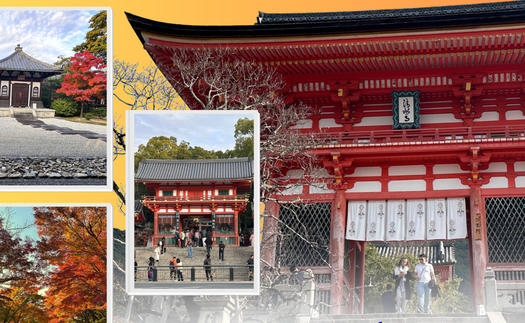 Mùa thu Kyoto - Sắc đỏ lan tỏa trên những di sản cổ kính 